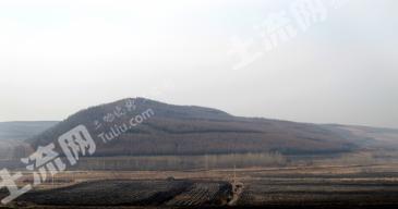 牡丹江穆棱市 1500亩 有林地 经营权转让