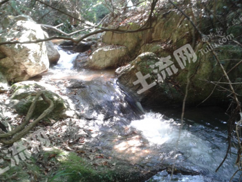 广东翁源县4700亩山林地经营权转让
