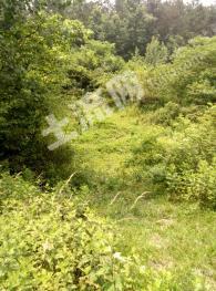 編號(hào)SN521曾都區(qū)有一住宅地流轉(zhuǎn)