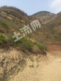 南部山區(qū)柳埠鎮(zhèn)宅基地+山地整體使用權出租