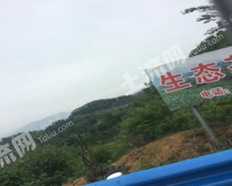 河南信阳浉河区1288亩有林地经营权转让