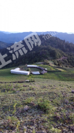 怒江兰坪白族普米族自治县600亩 农场 经营权合作