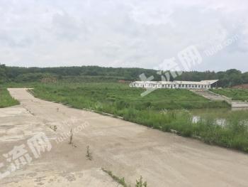 吉林市三家子110亩 农业用地经营权转让