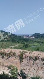 黄石大冶市 1000亩 水浇地 经营权出租