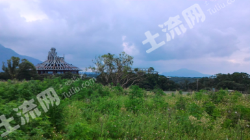 经营权转让43.5亩旱地