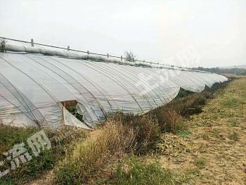 朝阳建平县 18亩 设施农用地 经营权转让