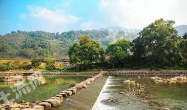 宁德福安市 3亩茶园 经营权合作