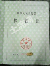 龙岩漳平市730亩有林地经营权转让