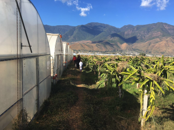 丽江永胜县 37亩 水浇地 经营权转让