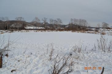 伊春西林区 40亩 水产养殖用地 经营权转让