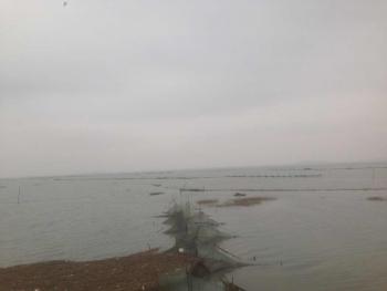 漳州漳浦 120亩 沿海滩涂 出租