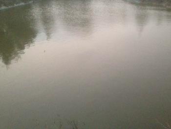 漳州漳浦 120亩 沿海滩涂 出租