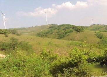 烟台牟平区 200亩 荒地 先开发后利用