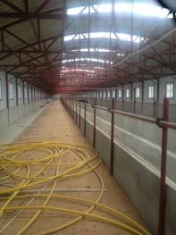 吉林舒兰市 60亩 畜牧养殖用地 经营权转包