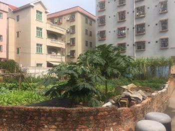 广州番禺区 960平米新建使用权出租屋 使用权出租