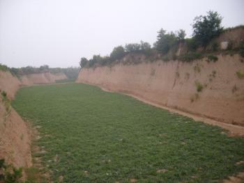 临汾大宁县 35亩 综合养殖用地 经营权出租