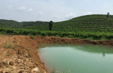 铜仁石阡县 1300亩 旱地 经营权转让