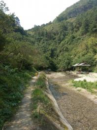 柳州柳江区 30亩 其它林地 经营权出租