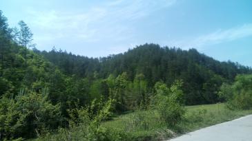 汉中西乡县 3200亩 灌木林地 经营权转让