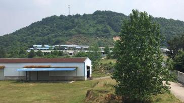 黄冈罗田县 114亩 人工牧草地 经营权合作