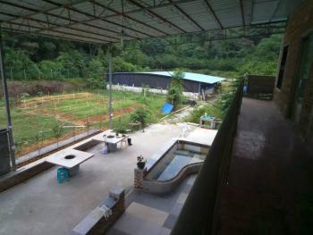佛山市高明区45亩休闲农场经营权转让