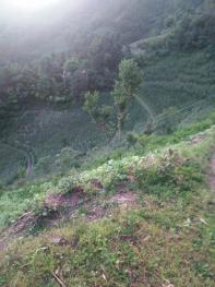 达州万源市 700亩 旱地 经营权出租