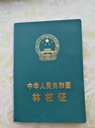 鸡西虎林市 1528.3亩 有林地 经营权合作