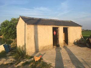 常州溧阳市 30亩 坑塘水面 经营权出租