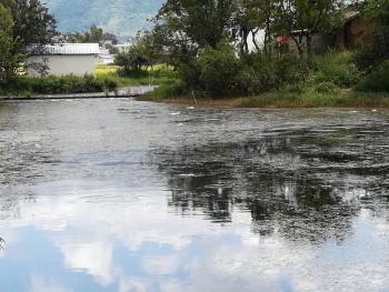 丽江永胜县 12亩 坑塘水面 经营权出租