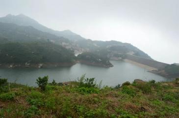 漳州云霄县 8000亩 有林地 合作