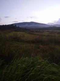 上饶铅山县 100亩 农场 使用权出租