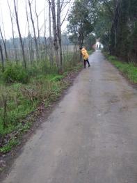 荊州荊州區(qū) 150平米 宅基地 使用權(quán)出租