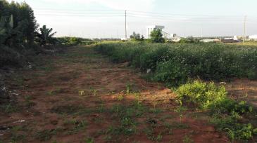 北海铁山港区 28亩 仓储用地 使用权出租