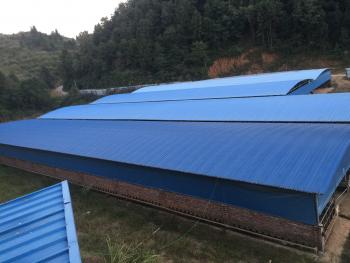 赣州寻乌县300亩畜牧养殖用地经营权转让