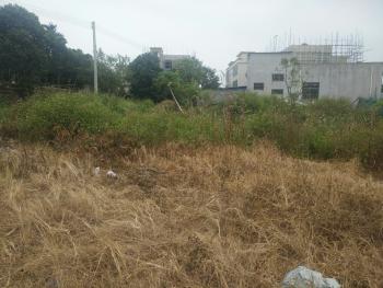 海南定安縣300平米宅基地急需使用權(quán)出租