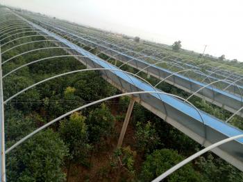 烟台龙口市40亩有林地经营权转让