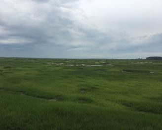 前郭县2018年农村居民最低生活保障标准:每人