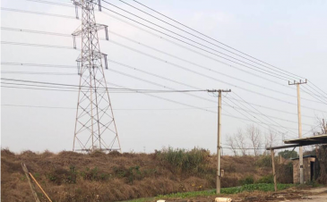 阳山水蜜桃几月份上市?主要品种有哪些?