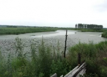 黑龙江鹤岗南山10亩水产养殖用地经营权转让