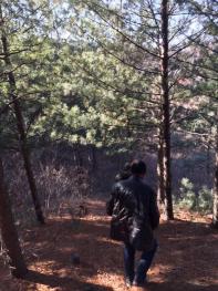 鞍山岫岩满族自治县 48亩 有林地 经营权转让