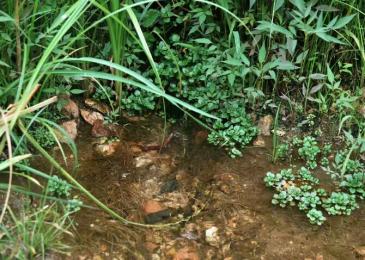 保定阜平县 4500亩 荒山 使用权出租