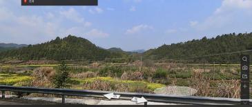 上饶婺源县 600亩 有林地 经营权转让