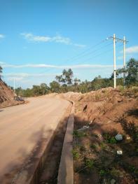 楚雄双柏县 40亩 灌木林地 经营权转让