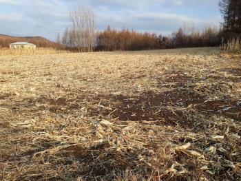 牡丹江东安区 45亩 荒地 出租