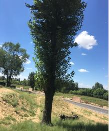 榆林榆陽(yáng)區(qū) 700平米 農(nóng)村宅基地 使用權(quán)出租