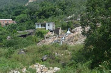 漳州云霄县 30亩 有林地 合作