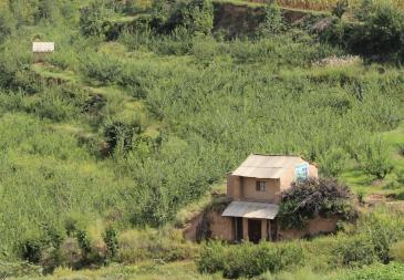 平凉灵台县 35亩 果园 经营权转包