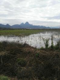 清远连州市 200亩 水产养殖用地 出租