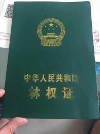 宝鸡陇县 1140亩 有林地 经营权转让