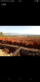 楚雄禄丰县 868亩 乔木林地 经营权出租